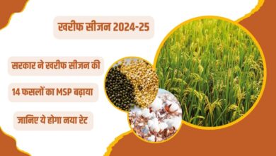 खरीफ सीजन 2024-25 के लिए 14 खरीफ फसलों की MSP में बढ़ोतरी