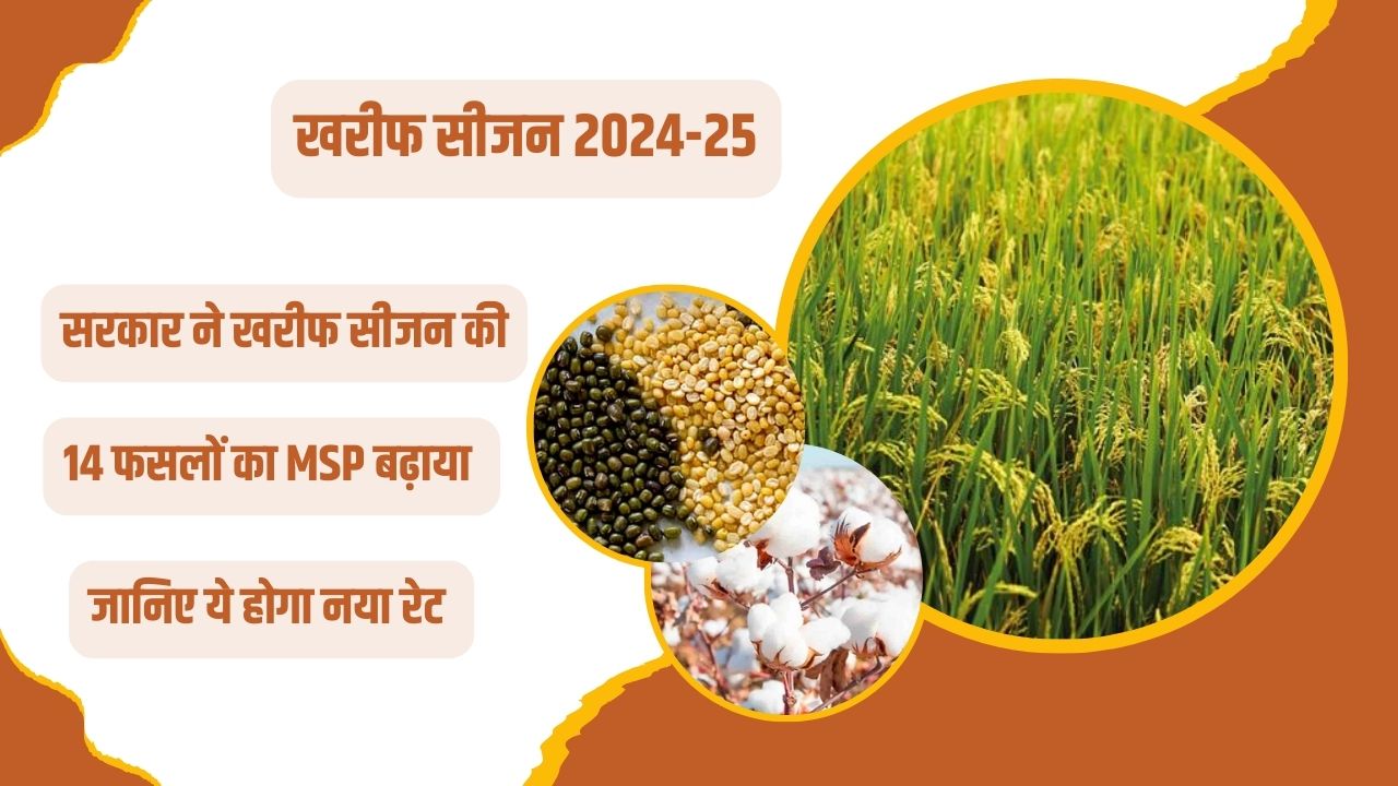 खरीफ सीजन 2024-25 के लिए 14 खरीफ फसलों की MSP में बढ़ोतरी
