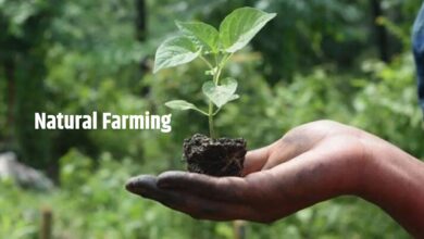 Natural Farming