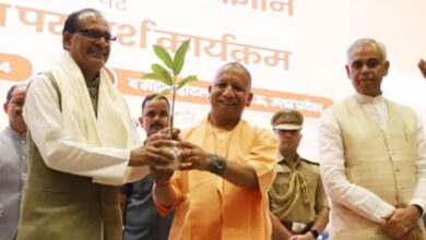 सरकार ने प्राकृतिक खेती के लिए 3 साल की सब्सिडी की घोषणा की