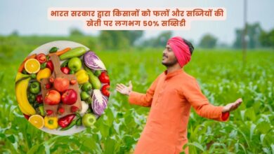 फलों और सब्जियों की खेती/Cultivation of Fruits and Vegetables करने पर करीब 50% तक सब्सिडी