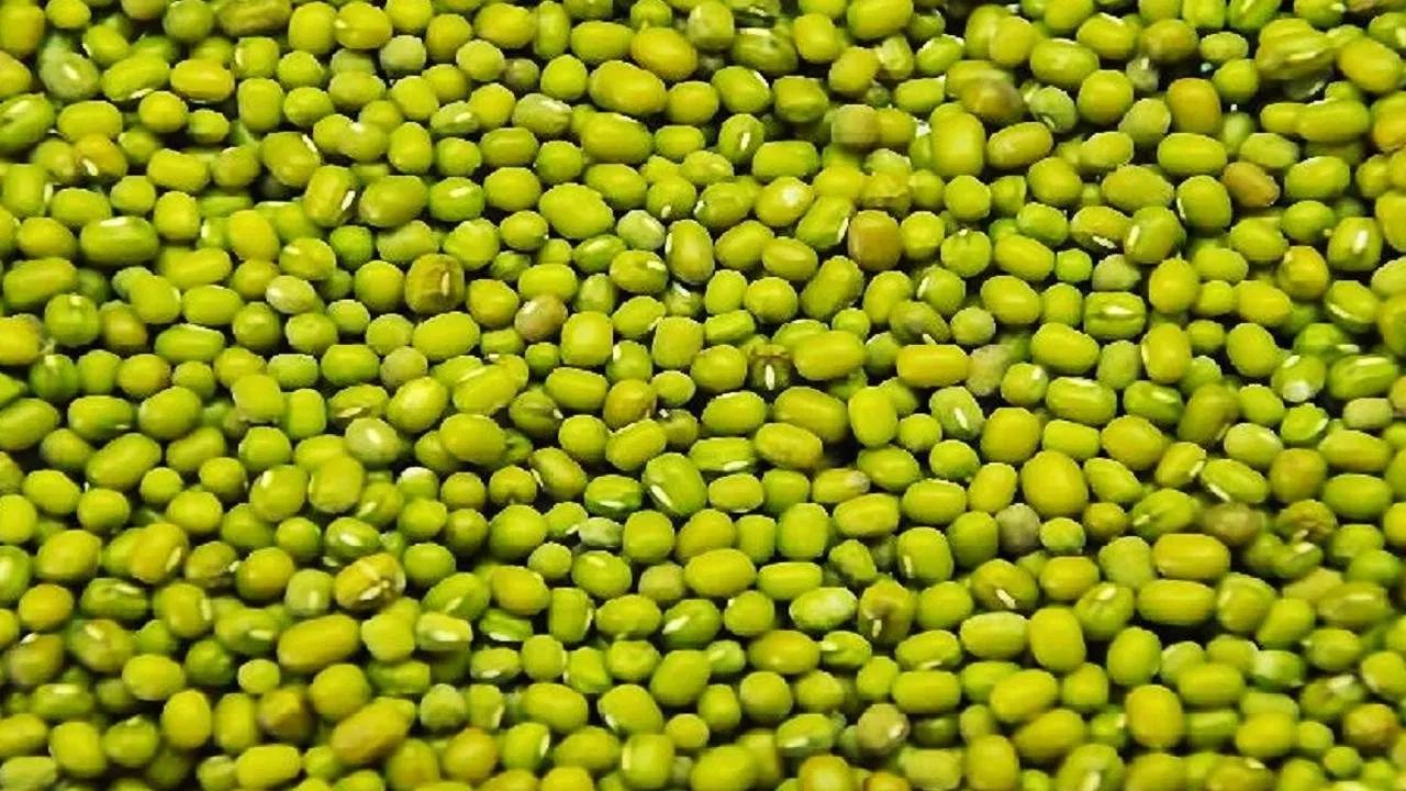 मध्यप्रदेश: मूंग किसानों के लिए बड़ी खबर