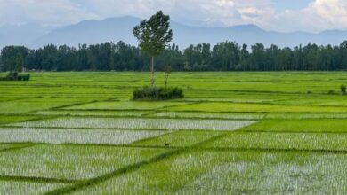 नई कृषि योजना