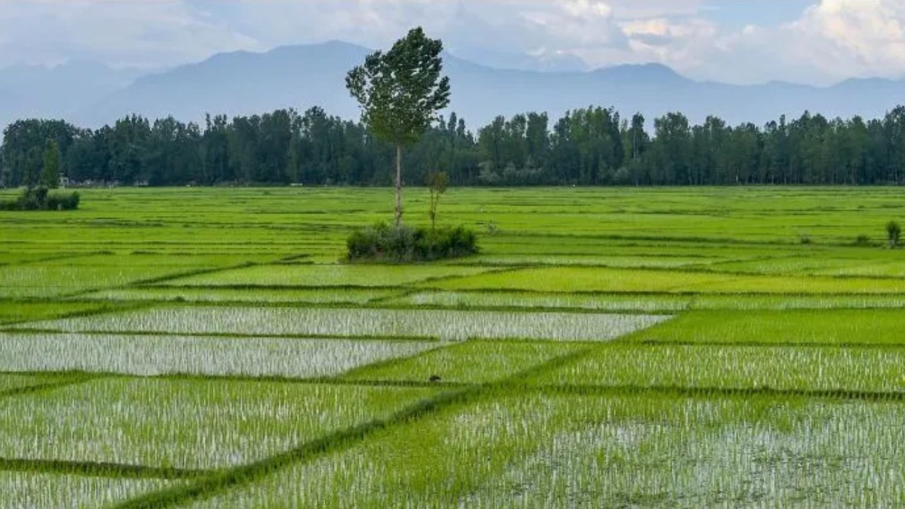 नई कृषि योजना