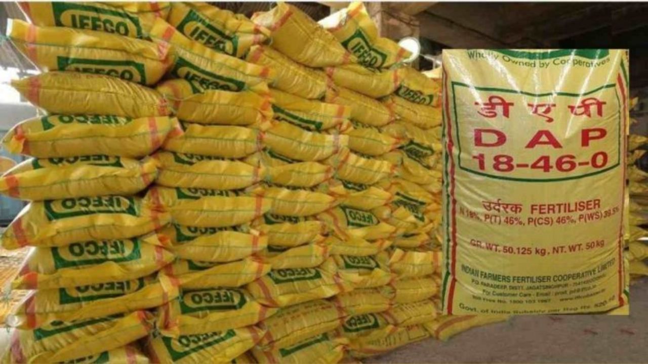 Subsidy on DAP