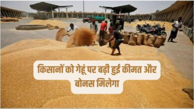 किसानों को गेहूं पर बढ़ी हुई कीमत और बोनस मिलेगा