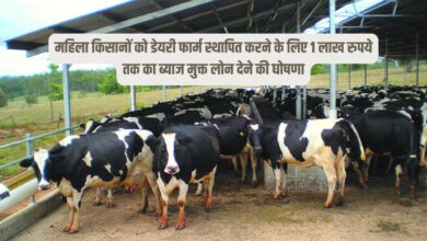 महिला किसानों को डेयरी फार्म स्थापित करने के लिए 1 लाख रुपये तक का ब्याज मुक्त लोन देने की घोषणा