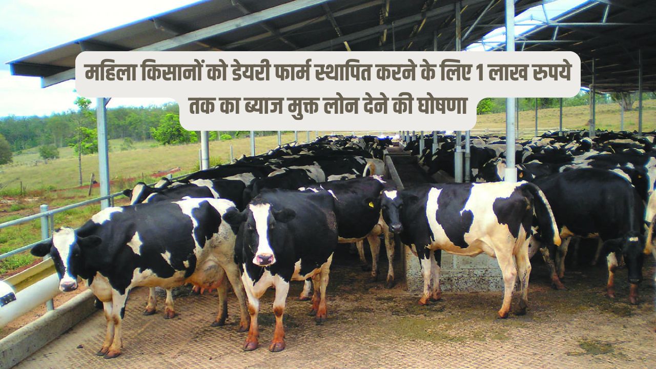 महिला किसानों को डेयरी फार्म स्थापित करने के लिए 1 लाख रुपये तक का ब्याज मुक्त लोन देने की घोषणा