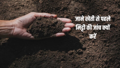 मिट्टी की जांच
