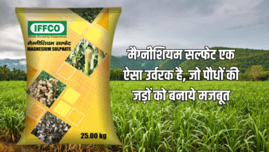 मैग्नीशियम सल्फेट