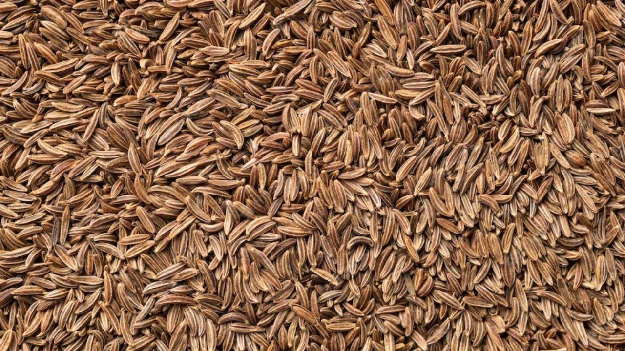 जीरा का दाम 38% गिरा, क्या बाजार में भी सस्ता मिलेगा?