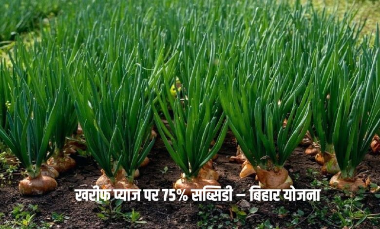 Bihar Onion Farming Subsidy 2025