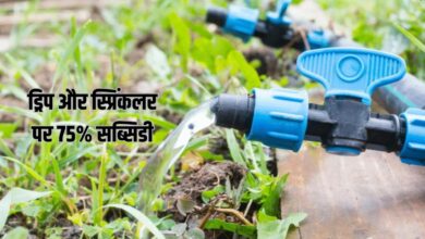 ड्रिप और स्प्रिंकलर पर 75% अनुदान