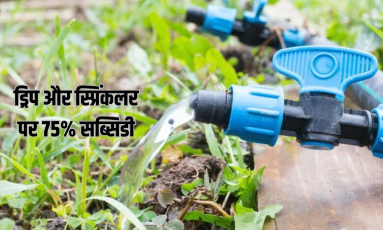 ड्रिप और स्प्रिंकलर पर 75% अनुदान