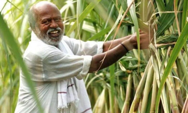 गन्ना किसान