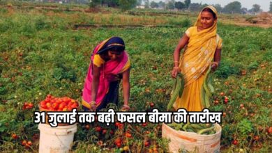 मुख्यमंत्री बागवानी बीमा योजना