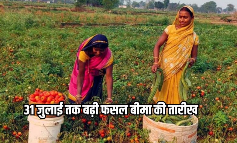मुख्यमंत्री बागवानी बीमा योजना