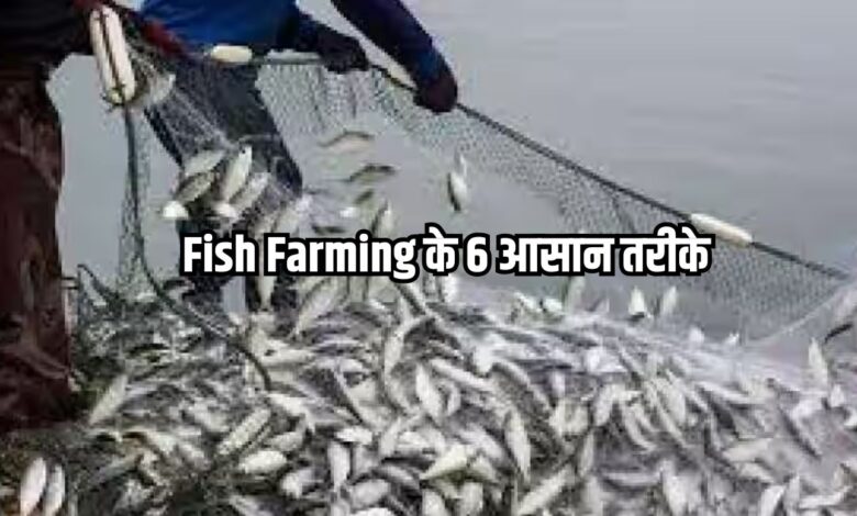 Fish Farming के 6 आसान तरीके
