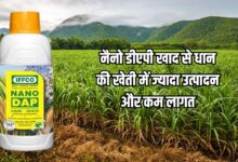 नैनो डीएपी खाद उपयोग