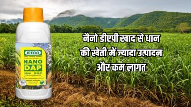 नैनो डीएपी खाद उपयोग
