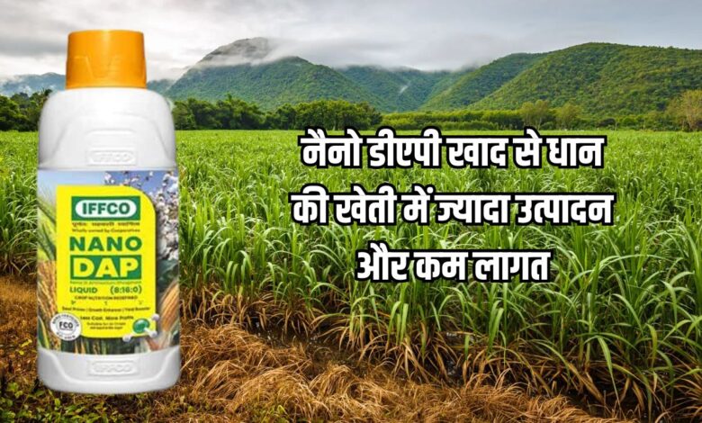 नैनो डीएपी खाद उपयोग