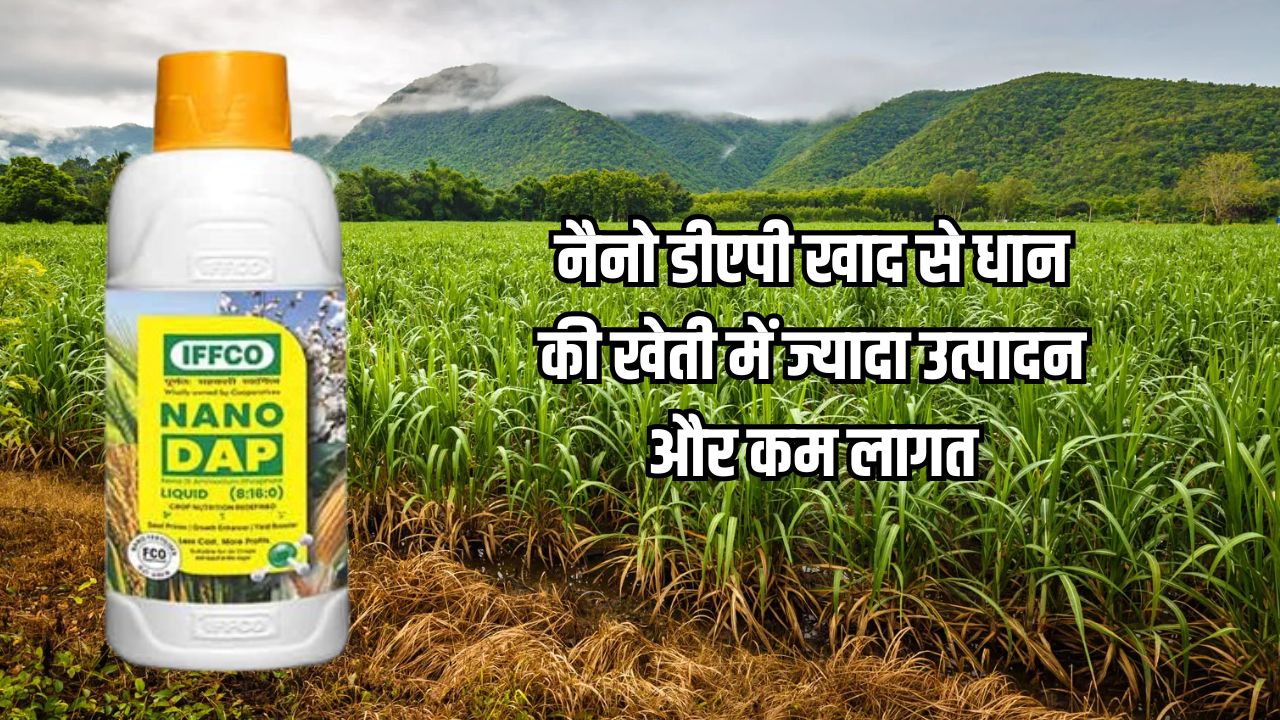 नैनो डीएपी खाद उपयोग