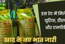 DAP Khad Price List Today 2025