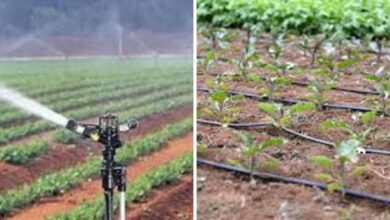 MP NEWS: ड्रिप और स्प्रिंकलर सिस्टम पर सब्सिडी