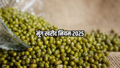 moong-msp-2025