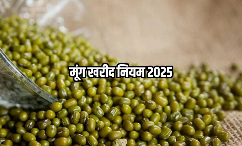 moong-msp-2025
