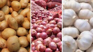 मध्यप्रदेश मंडी भाव: इंदौर, उज्जैन और शाजापुर में आलू, प्याज और लहसुन के ताज़ा रेट