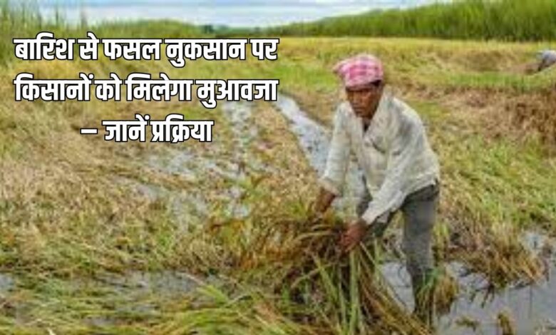 Kharif Crop Loss Compensation 2025