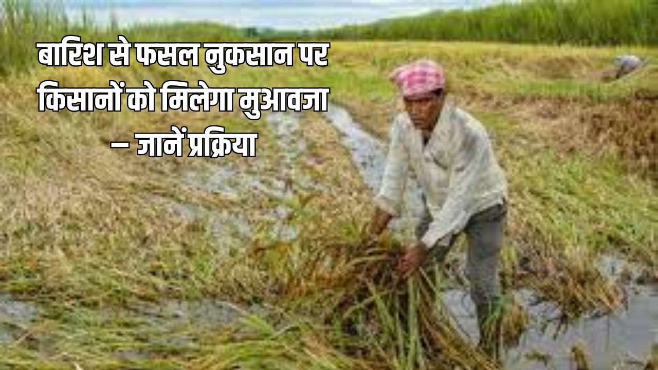 Kharif Crop Loss Compensation 2025