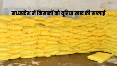 मध्यप्रदेश को मिलेगा 5.60 लाख टन यूरिया