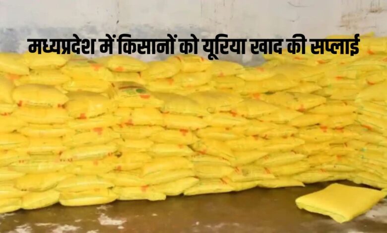 मध्यप्रदेश को मिलेगा 5.60 लाख टन यूरिया