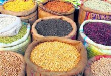 खरीफ सीजन 2025-26: खरीफ दालों और तिलहन की कीमतें MSP से कम