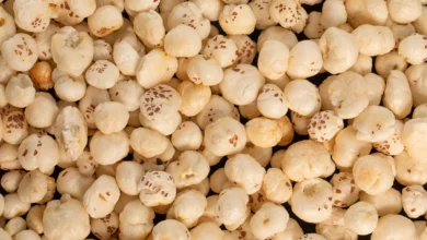 मखाने की खेती