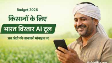 Budget 2026 में किसानों के लिए लॉन्च हुआ भारत विस्तार AI टूल, जिससे खेती की जानकारी मोबाइल पर मिलेगी