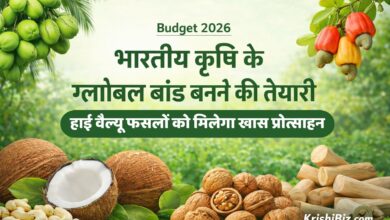 Budget 2026 में हाई-वैल्यू फसलों पर फोकस कर भारतीय कृषि को ग्लोबल ब्रांड बनाने की तैयारी